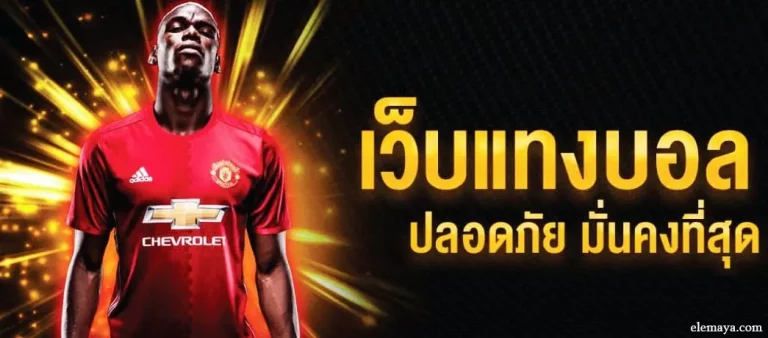 เว็บmcd999